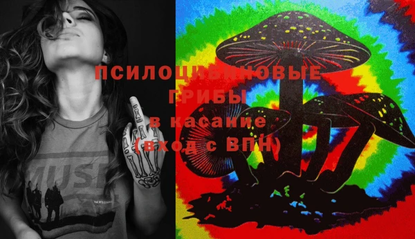 мдпв Беслан