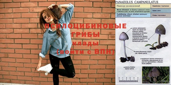 а пвп мука Надым