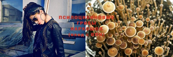 гидропоника Наволоки